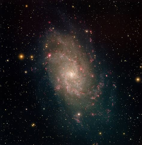 M33 X.